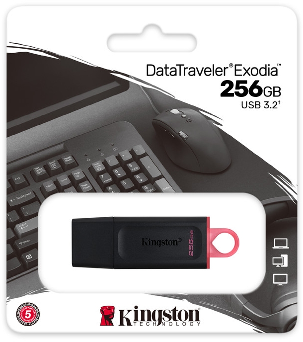 Флеш память USB 256GB Kingston DataTraver Exodia Black/Pink USB3.2 (DTX/256GB)