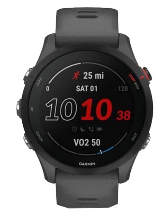 Смарт-часы Garmin Forerunner 255 Mist Slate Gray (010-02641-10), GPS