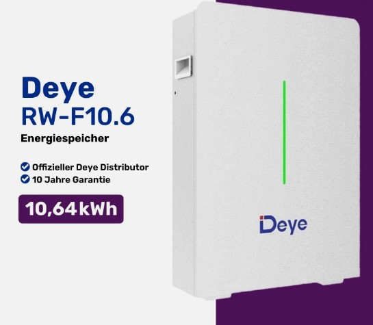 Акумулятор для ДБЖ Deye LiFePO4 RW-M6.1-B 51,2V 120Ah, BMS60@16S до 32 parallel, CAN&RS485, IP21, 6000Cycles, 