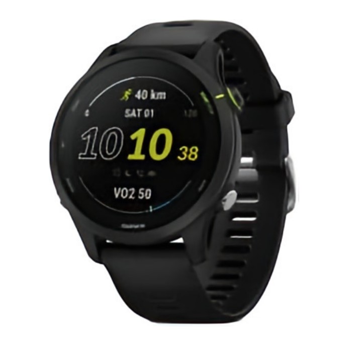 Смарт-часы Garmin Forerunner 255 Music Black (010-02641-30)