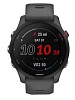 Смарт-часы Garmin Forerunner 255 Mist Slate Gray (010-02641-10), GPS