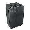 Колонка Bluetooth Bluesound Pulse flex 2i, Black