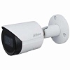 IP-камера Dahua DH-IPC-HFW2431SP-S-S2